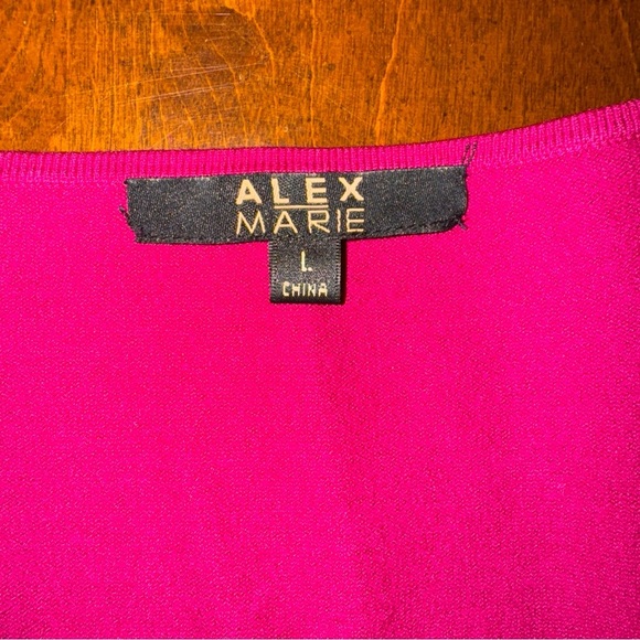 Alex Marie Womens Hot Pink Knit Square Neck Short Sleeve Silk Blend Shirt L - Picture 6 of 8